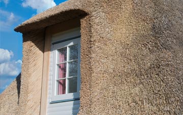 Liddaton thatch roof disadvantages